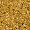 TOHO 6/0 Round Beads X-SEED-TR06-2151-3
