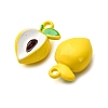 Baking Paint Alloy Pendants LS-FIND-G097-04E-2