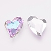 K9 Glass Rhinestone Pendants GLAA-F083-01B-02-2