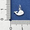 925 Sterling Silver Charms STER-M119-09A-S-3
