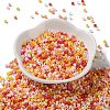 Baking Paint Glass Seed Beads X-SEED-S042-05A-07-2