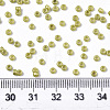 Frosted Opaque Glass Seed Beads X-SEED-S042-06A-06-4