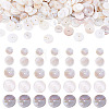 1 Strand 2 Styles Natural Freshwater Shell Beads Strands SHEL-TA0001-43-1