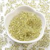 Luminous Glass Seed Beads X1-SEED-A033-07K-3
