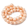 Natural Cultured Freshwater Pearl Beads Strands PEAR-P064-19L-06E-3