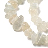 Natural White Moonstone Beads Strands G-P332-01-5