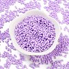 Baking Paint Glass Seed Beads SEED-A033-05J-2