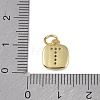 Rack Plating Brass Micro Pave CLear Cubic Zirconia Charms KK-E110-14G-T-3