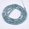 Natural Apatite Beads Strands G-R462-023-2