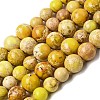 Natural Imperial Jasper Graduated Beads Strands G-A323-C03-01D-2
