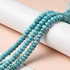 Natural Howlite Beads Strands G-C025-09B-2