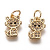 Brass Micro Pave Clear Cubic Zirconia Charms ZIRC-C020-38G-1