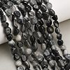 Natural Eagle Eye Stone Beads Strands G-D108-A02-03-1
