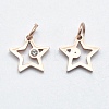 316 Surgical Stainless Steel Pendants STAS-K178-01A-RG-2