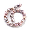 Natural Cultured Freshwater Pearl Beads Strands PEAR-P062-17C-3