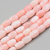 Natural Freshwater Shell Beads Strand SHEL-T017-39B-1