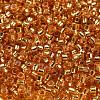 Glass Seed Beads X1-SEED-S042-04A-11-3