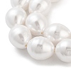 Electroplated Shell Pearl Beads Strands BSHE-H110-01-03-4