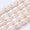 Natural Cultured Freshwater Pearl Beads Strands PEAR-P002-14-1
