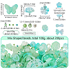 Glass Seed Beads SEED-SC0001-48C-2