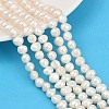 Natural Cultured Freshwater Pearl Beads Strands PEAR-P064-20B-05A-1