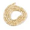 Natural Trochus Shell Beads Strands BSHE-G036-08B-02-2