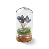 Natural Lapis Lazuli Chips Money Tree in Dome Glass Bell Jars with Wood Base Display Decorations DJEW-K030-02B-1