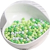 Macaron Baking Paint Glass Seed Beads PW-WGB8861-04-1