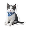 50Pcs Cat Shape PVC Self Adhesive Stickers STIC-G001-05-3