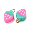 Handmade Polymer Clay Charms CLAY-C008-01-2