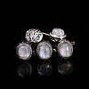 Natural Rainbow Moonstone Beads PW-WG6E28C-08-1