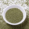 MIYUKI Delica Beads SEED-JP0008-DB2124-2