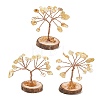 Natural Yellow Quartz Chips Tree of Life Decorations GG-CBAEDF6-01L-1