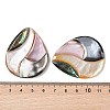 Natural Paua Shell & Yellow Shell & Pink Shell & Black Lip Shell Pendants SSHEL-C012-14-3