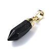 Natural Black Onyx(Dyed & Heated) Pendants G-NH0001-02G-01-2