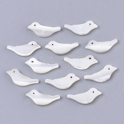 Natural Trochid Shell/Trochus Shell Beads SSHEL-T014-05-1