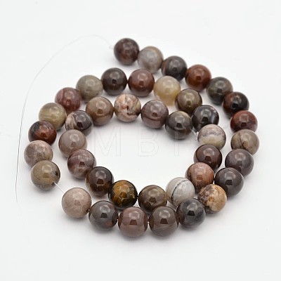 Natural Petrified Wood Round Beads Strands G-P101-01-12mm-1