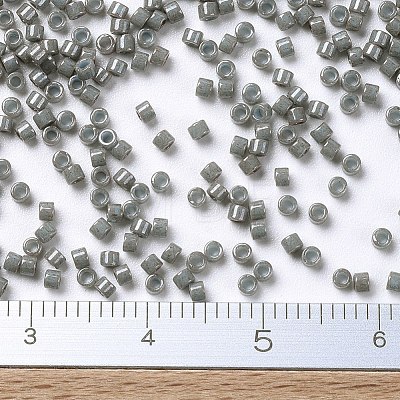 MIYUKI Delica Beads X-SEED-J020-DB0652-1