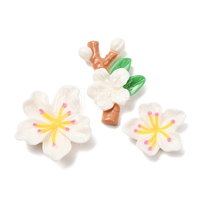 Opaque Resin Cabochons CRES-A064-01A-1