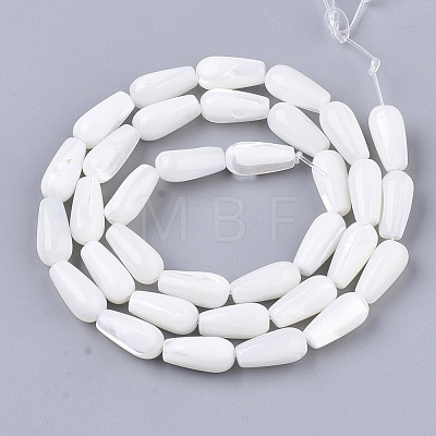 Natural Trochid Shell/Trochus Shell Beads Strands SSHEL-N032-04-1