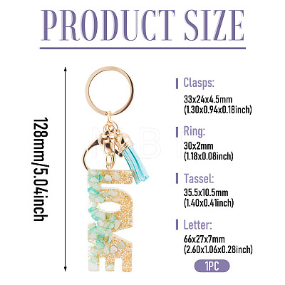 Alloy & Resin Tassel Keychainss AJEW-TADJ0001-20G-04-1