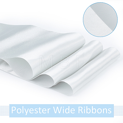 Polyester Wide Ribbons OCOR-WH0082-168B-1