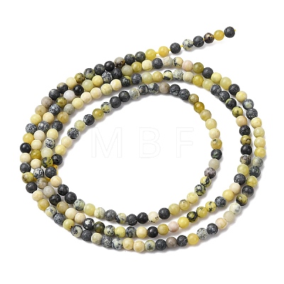 Natural Yellow Turquoise(Jasper) Beads Strands G-Z116-A19-2mm-1