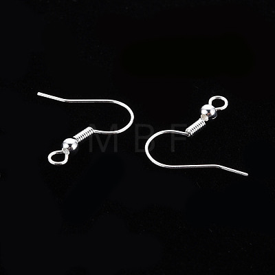 304 Stainless Steel Earring Hooks S057-42S-1