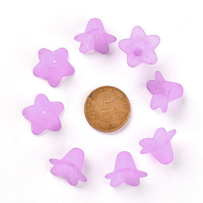 Transparent Acrylic Beads PLF018-04-1