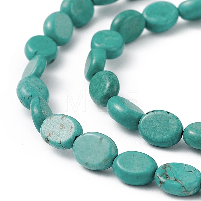 Natural Howlite Beads Strands G-P494-B01-1