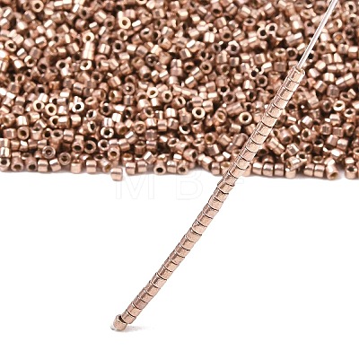 MIYUKI Delica Beads X-SEED-J020-DB2504-1