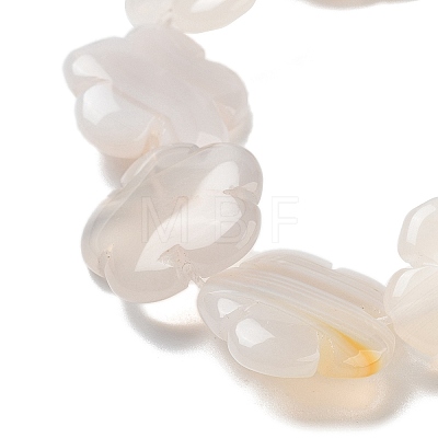 Natural White Agate Beads Strands G-F769-G01-02-1