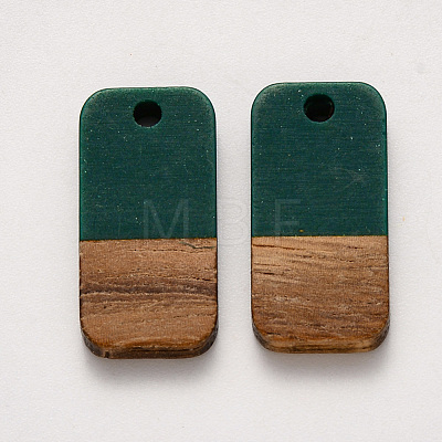 Resin & Walnut Wood Pendants RESI-S384-008A-A01-1