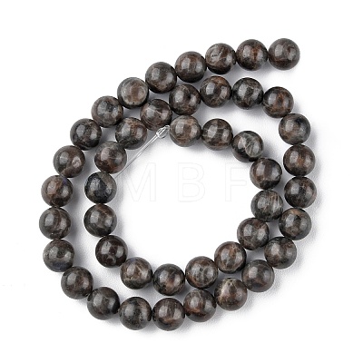 Natural Labradorite Beads Strands G-G0003-C03-10mm-1